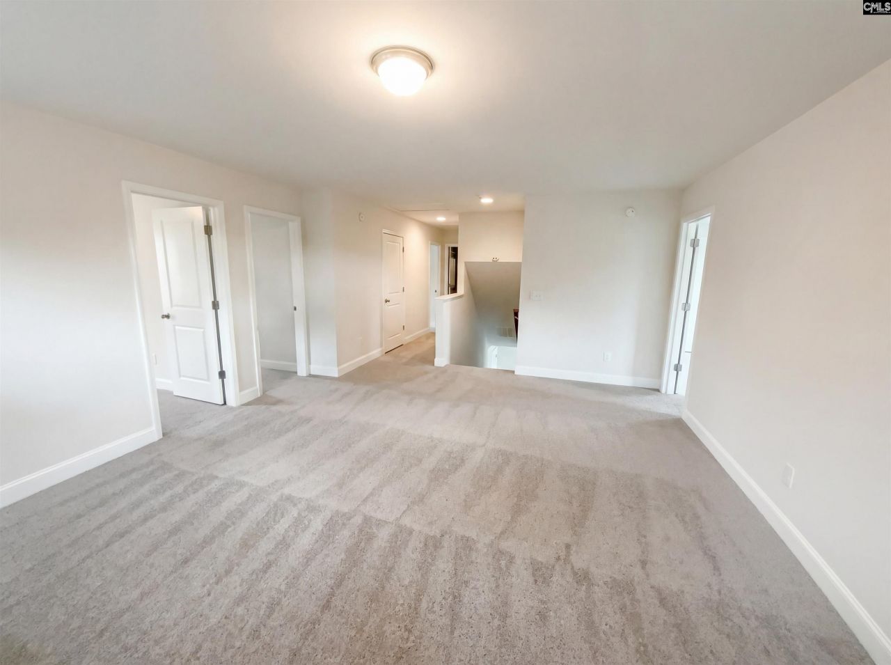 243 Meadow Saffron Drive  Photo 22