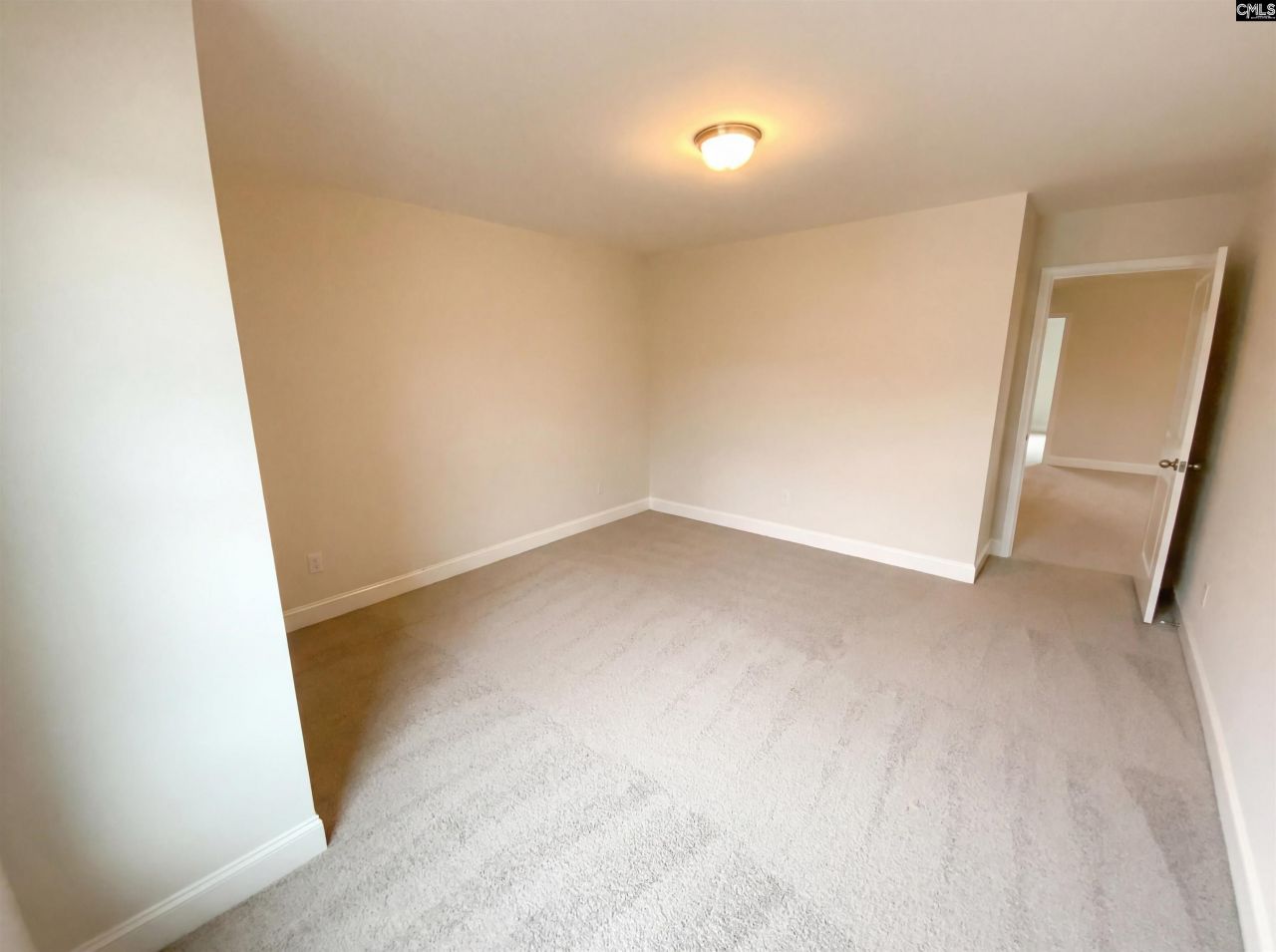 243 Meadow Saffron Drive  Photo 25