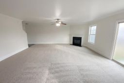 243 Meadow Saffron Drive  photo 4