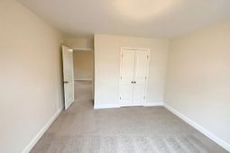 243 Meadow Saffron Drive  photo 4