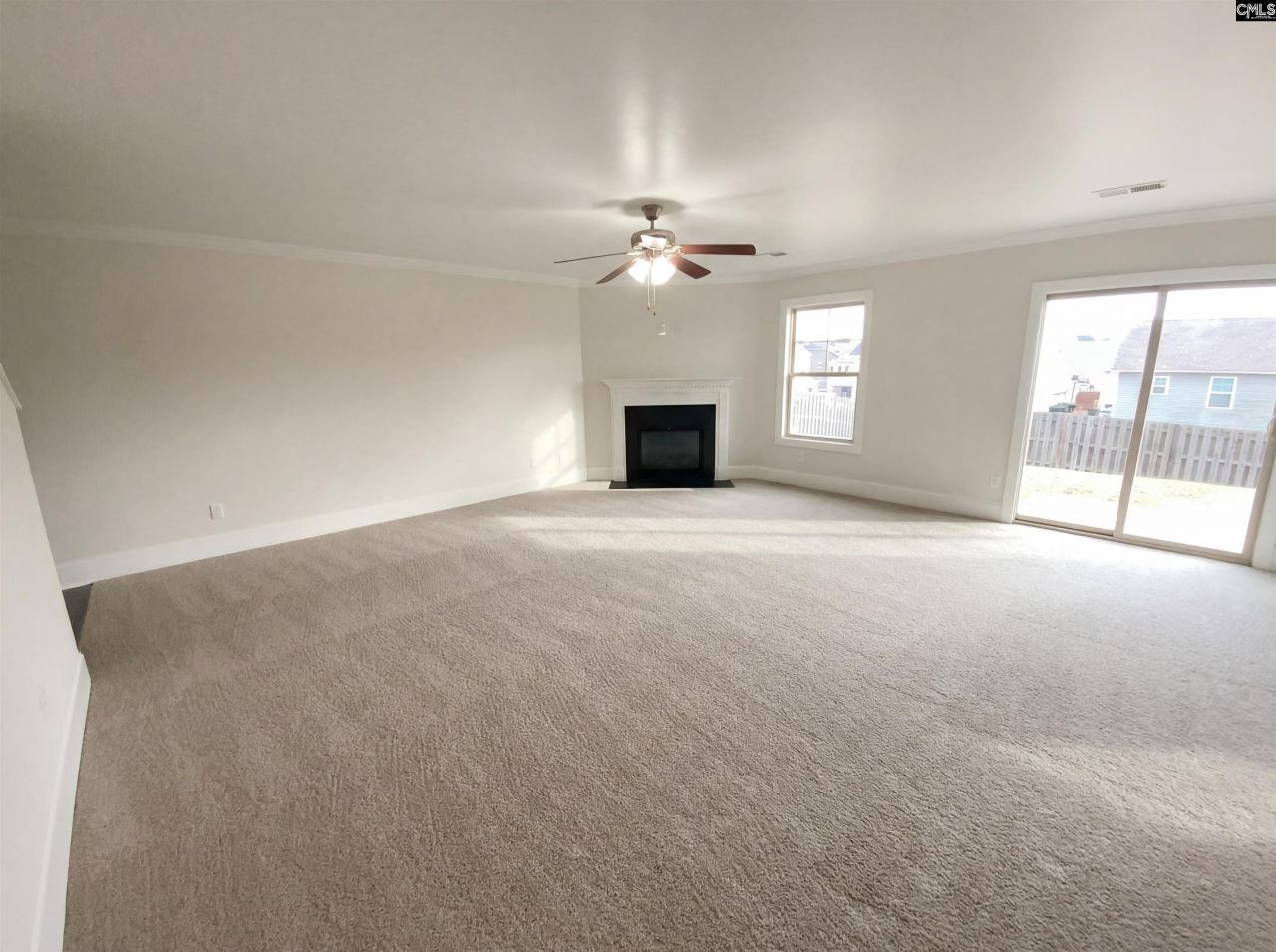 243 Meadow Saffron Drive  Photo 9