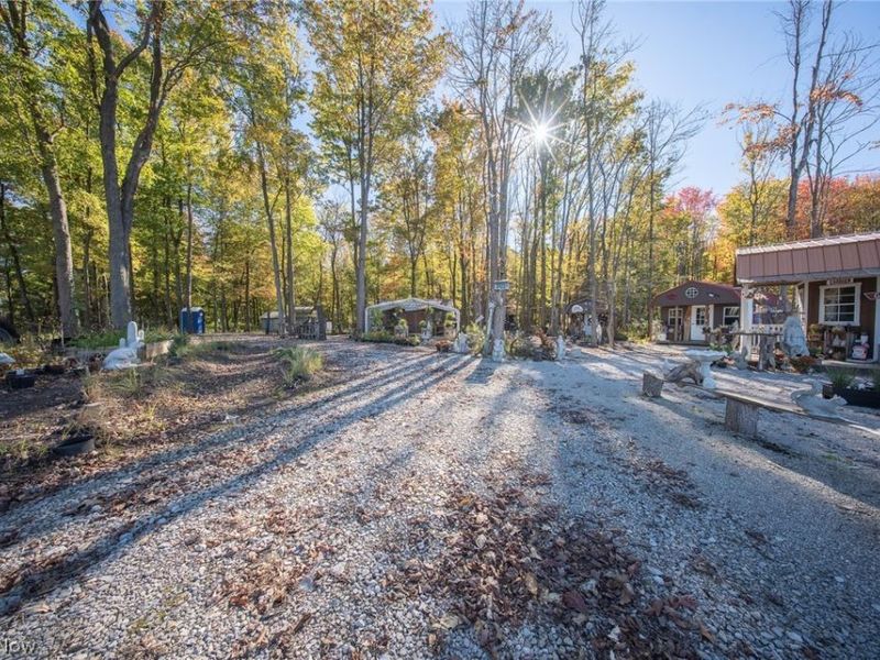 504 State Route 89, West Salem, OH 44287 Photo 12