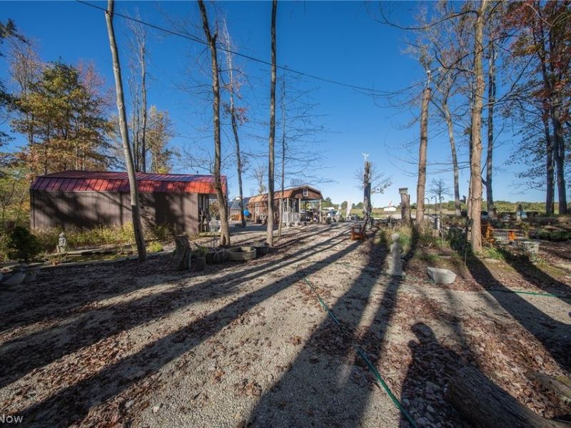 504 State Route 89, West Salem, OH 44287 Photo 13