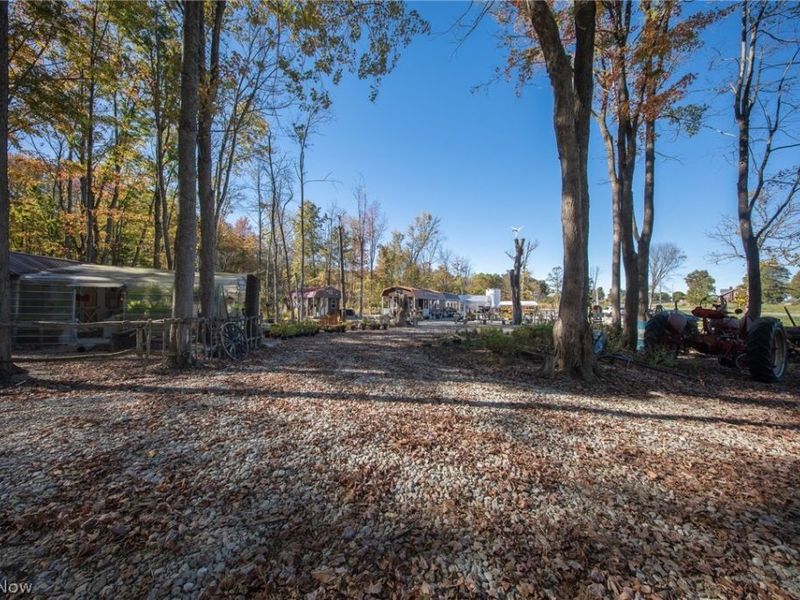 504 State Route 89, West Salem, OH 44287 Photo 14