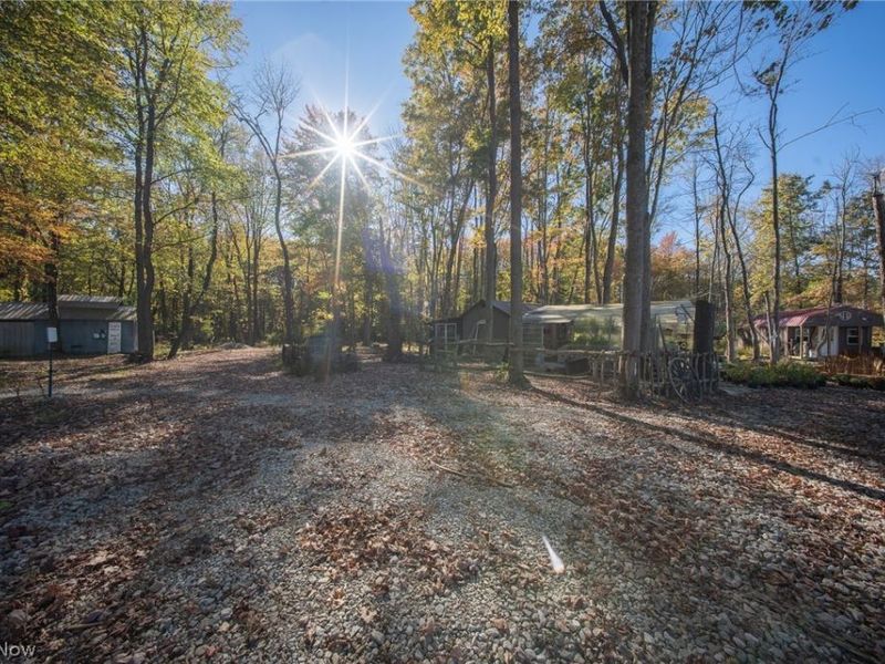 504 State Route 89, West Salem, OH 44287 Photo 15