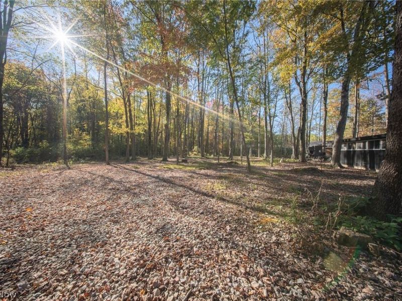 504 State Route 89, West Salem, OH 44287 Photo 16