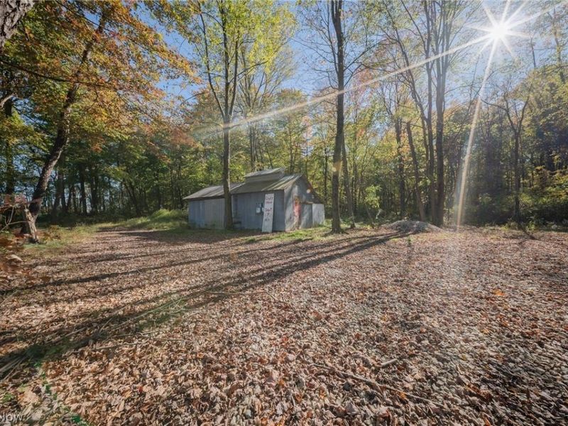 504 State Route 89, West Salem, OH 44287 Photo 17