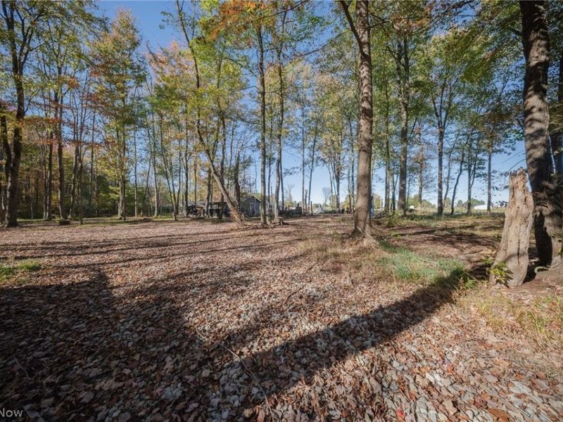 504 State Route 89, West Salem, OH 44287 Photo 20