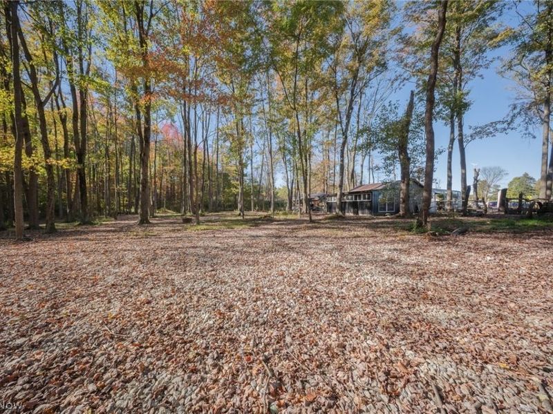 504 State Route 89, West Salem, OH 44287 Photo 21