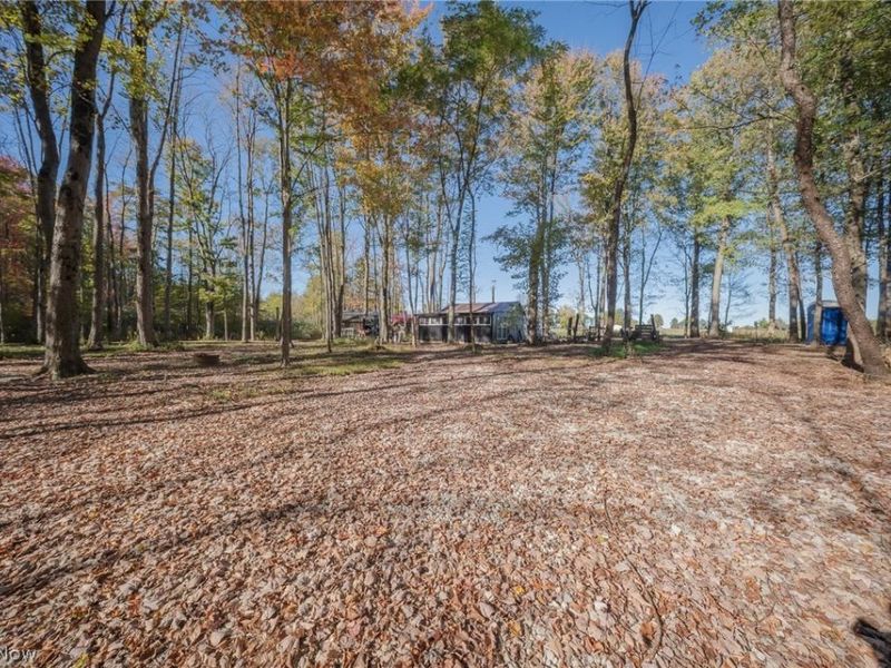 504 State Route 89, West Salem, OH 44287 Photo 23