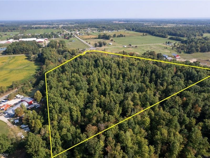 504 State Route 89, West Salem, OH 44287 Photo 5