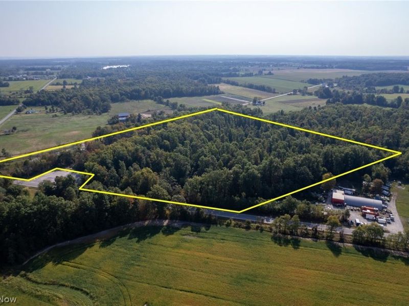 504 State Route 89, West Salem, OH 44287 Photo 6