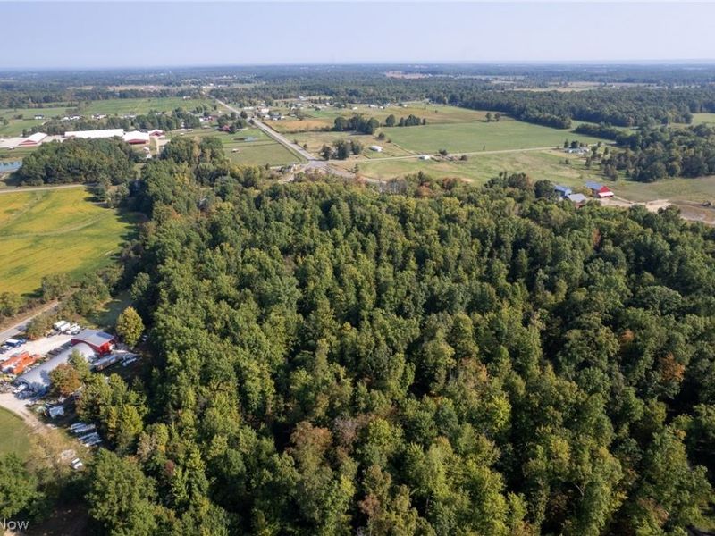 504 State Route 89, West Salem, OH 44287 Photo 8