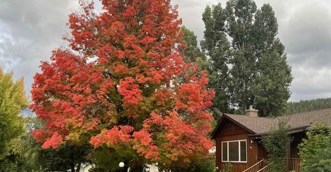 574 W High Street, Quincy, CA 95971 Photo