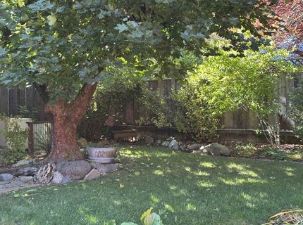 574 W High Street, Quincy, CA 95971 Photo