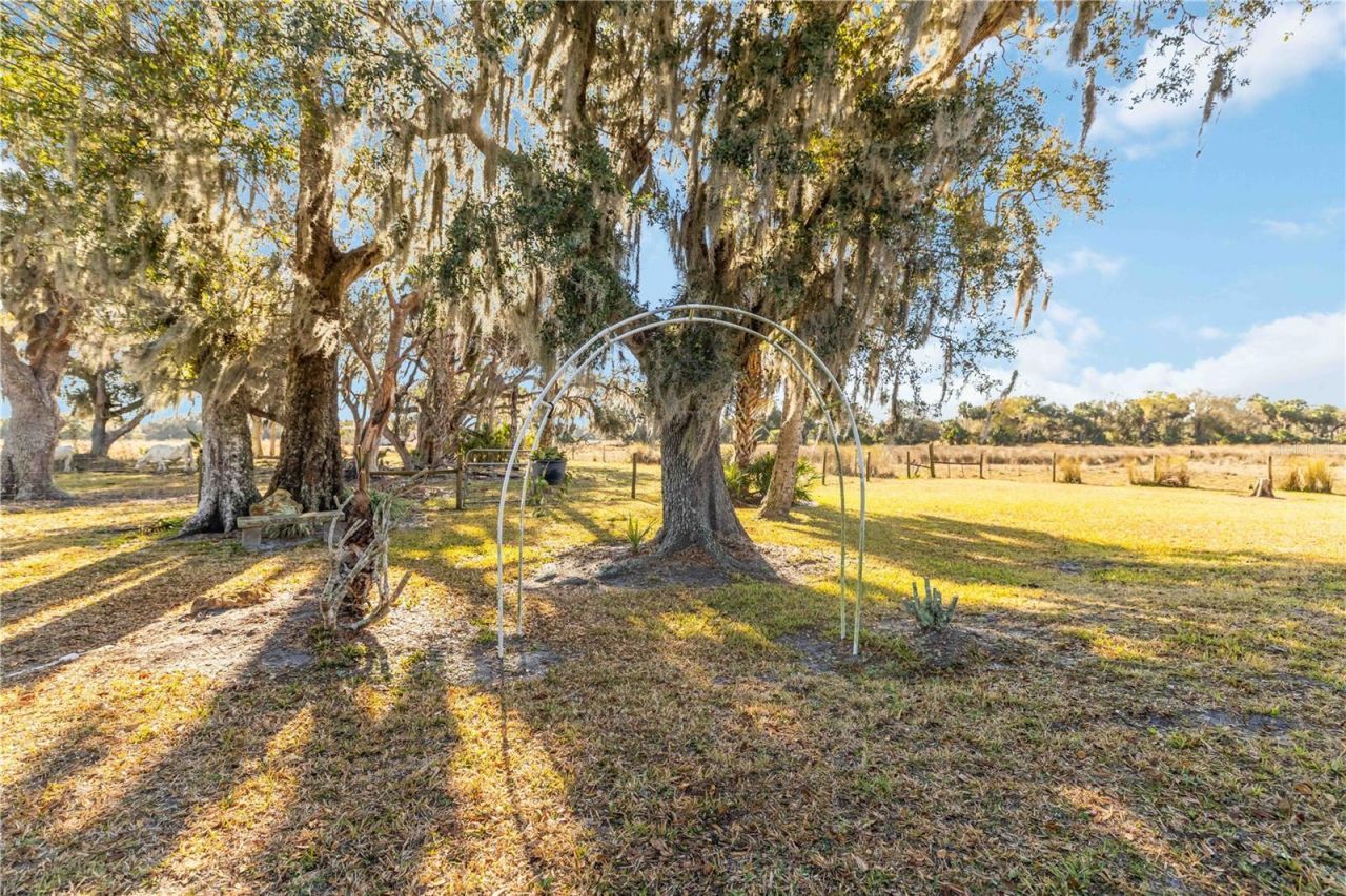 12241 SW Gordon Hay Road, Arcadia, FL 34269 Photo