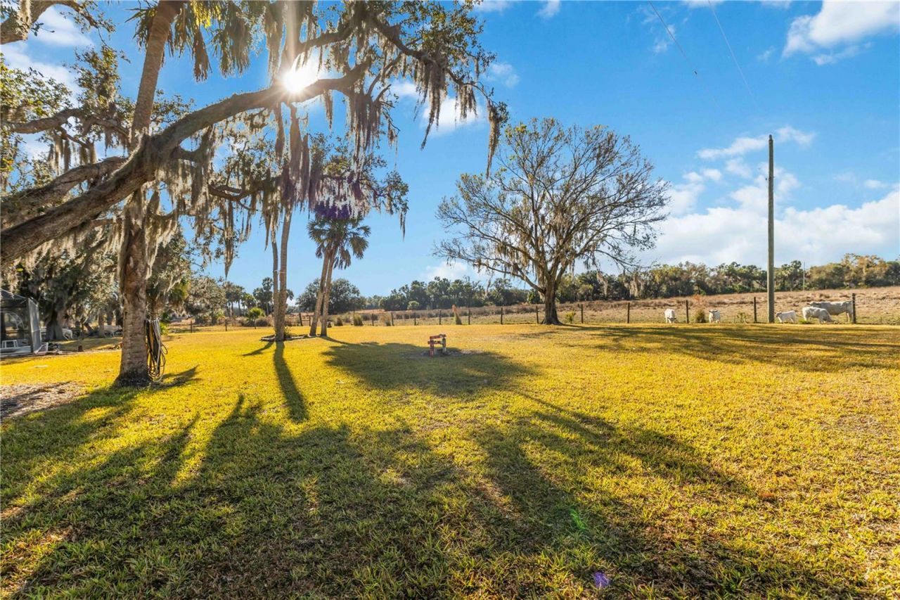 12241 SW Gordon Hay Road, Arcadia, FL 34269 Photo