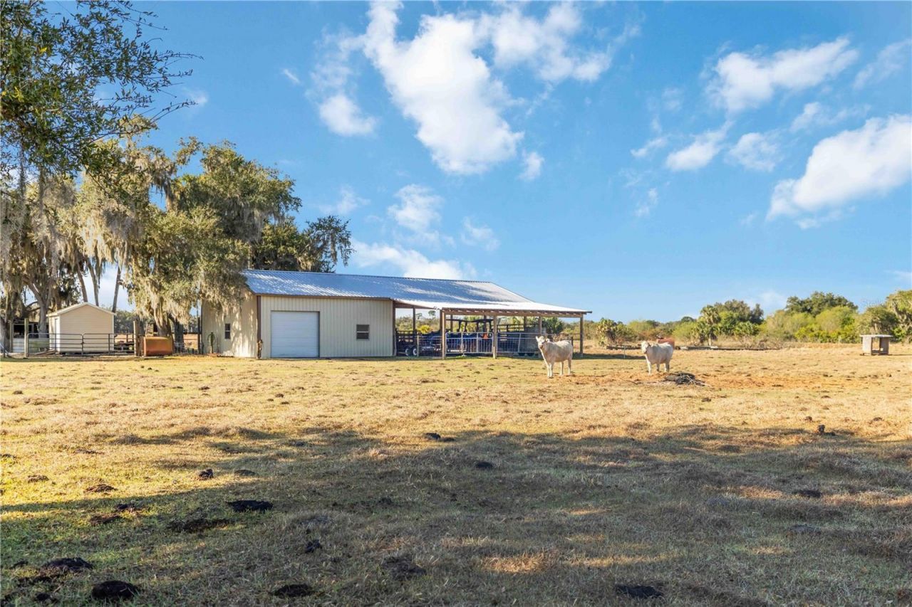 12241 SW Gordon Hay Road, Arcadia, FL 34269 Photo