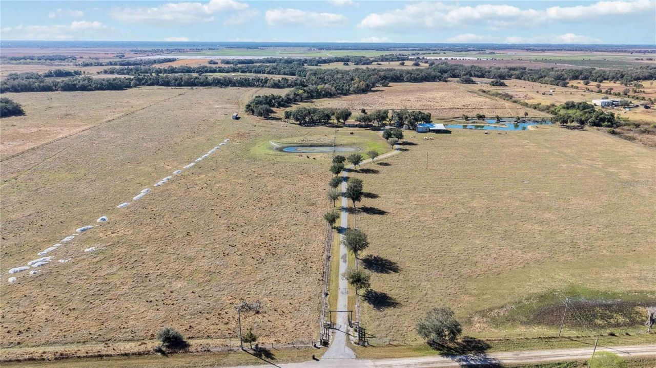 12241 SW Gordon Hay Road, Arcadia, FL 34269 Photo