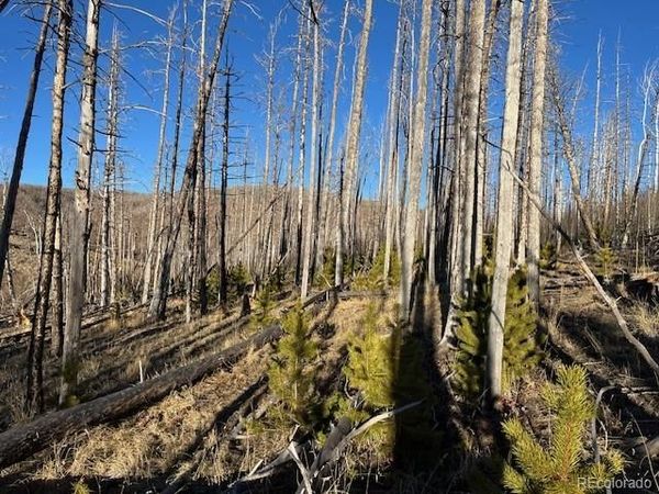 Lot 1502 Vonheyl Lane , Fort Garland, CO 81133