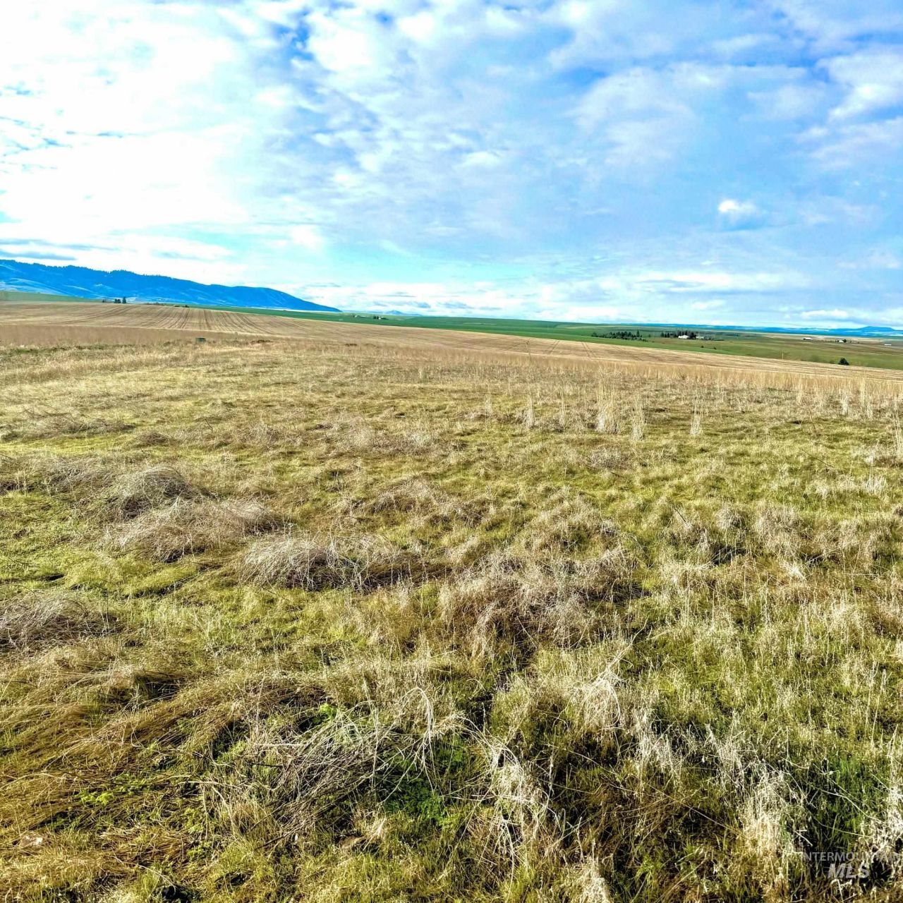 Tbd Lot 17 A Pheasant Loop Rd, Lewiston, ID 83501 Main Photo