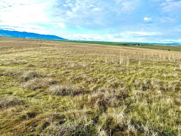 TBD Lot 17 A Pheasant Loop Rd, Lewiston, ID 83501