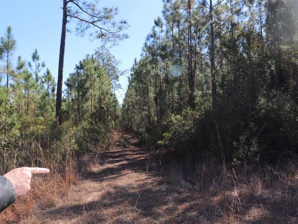 0 GEORGIA Street, Hilliard, FL 32046