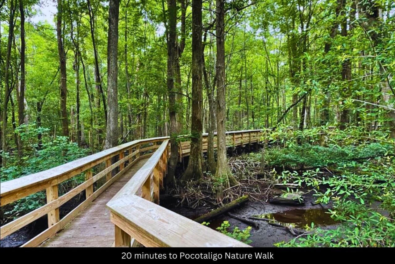 02 Pompey Road Photo 28