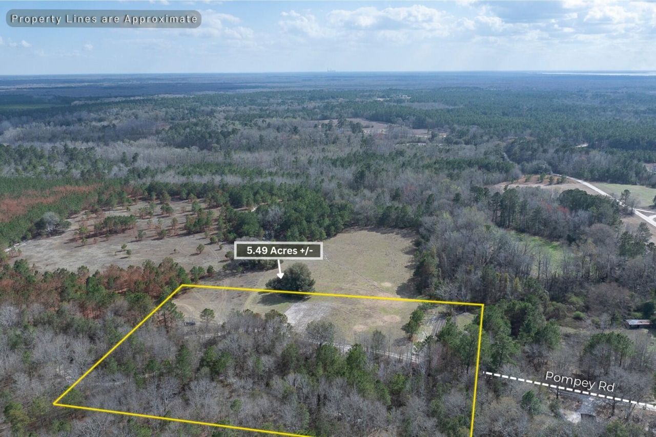 02 Pompey Road Photo 4