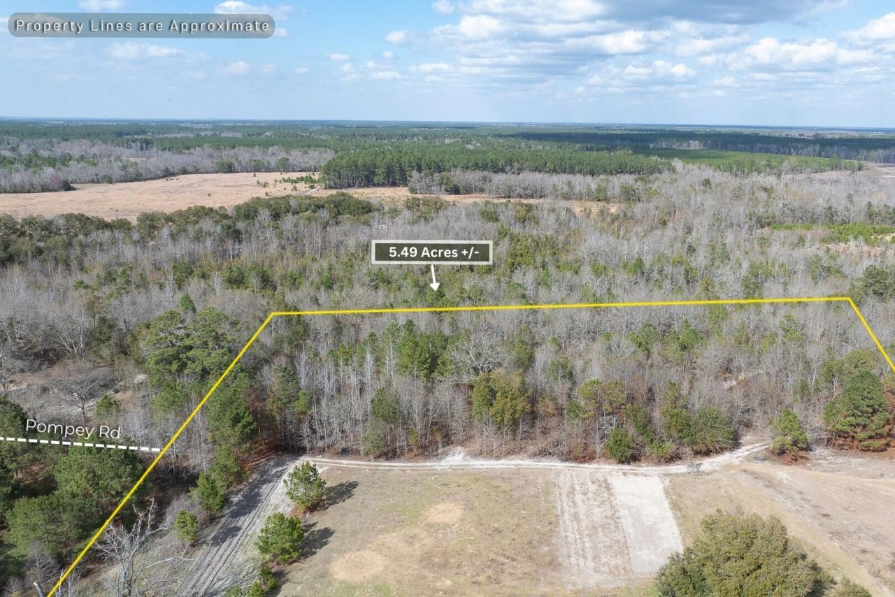 02 Pompey Road Photo 5