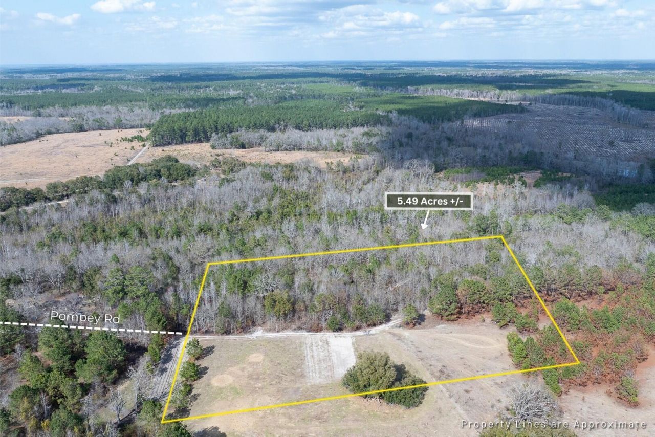 02 Pompey Road Photo 6