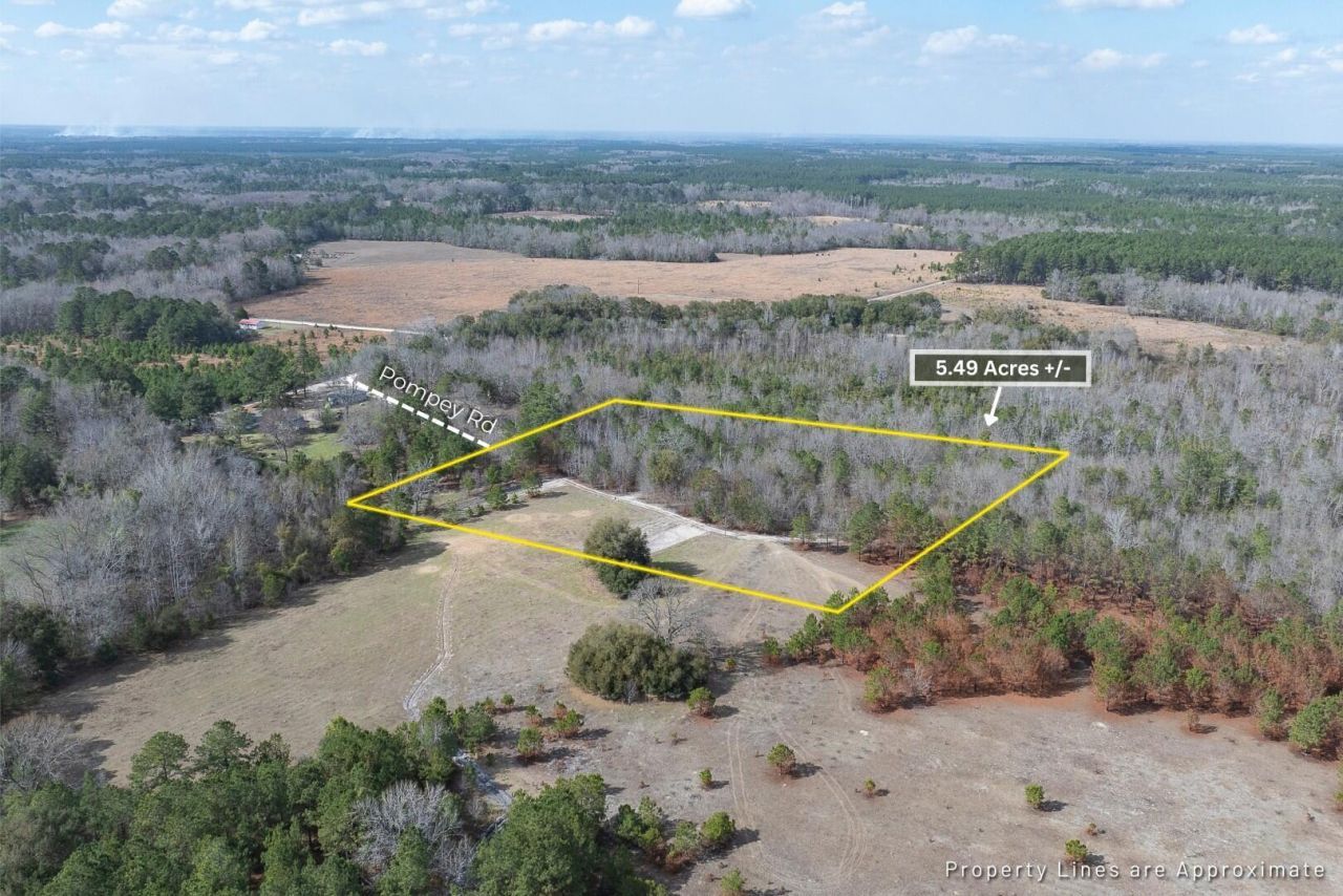 02 Pompey Road Photo 8