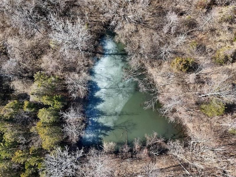 896 Ward Road, Wilmington, OH 45177 Photo 22