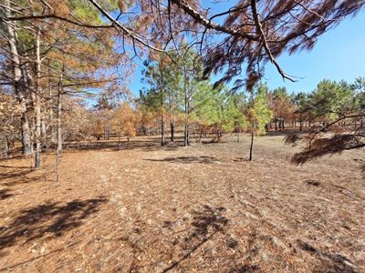 00 Pompey Road, Manning, SC 29102