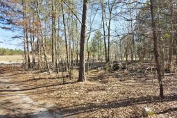 00 Pompey Road photo 4