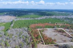 05 Pompey Road photo 4