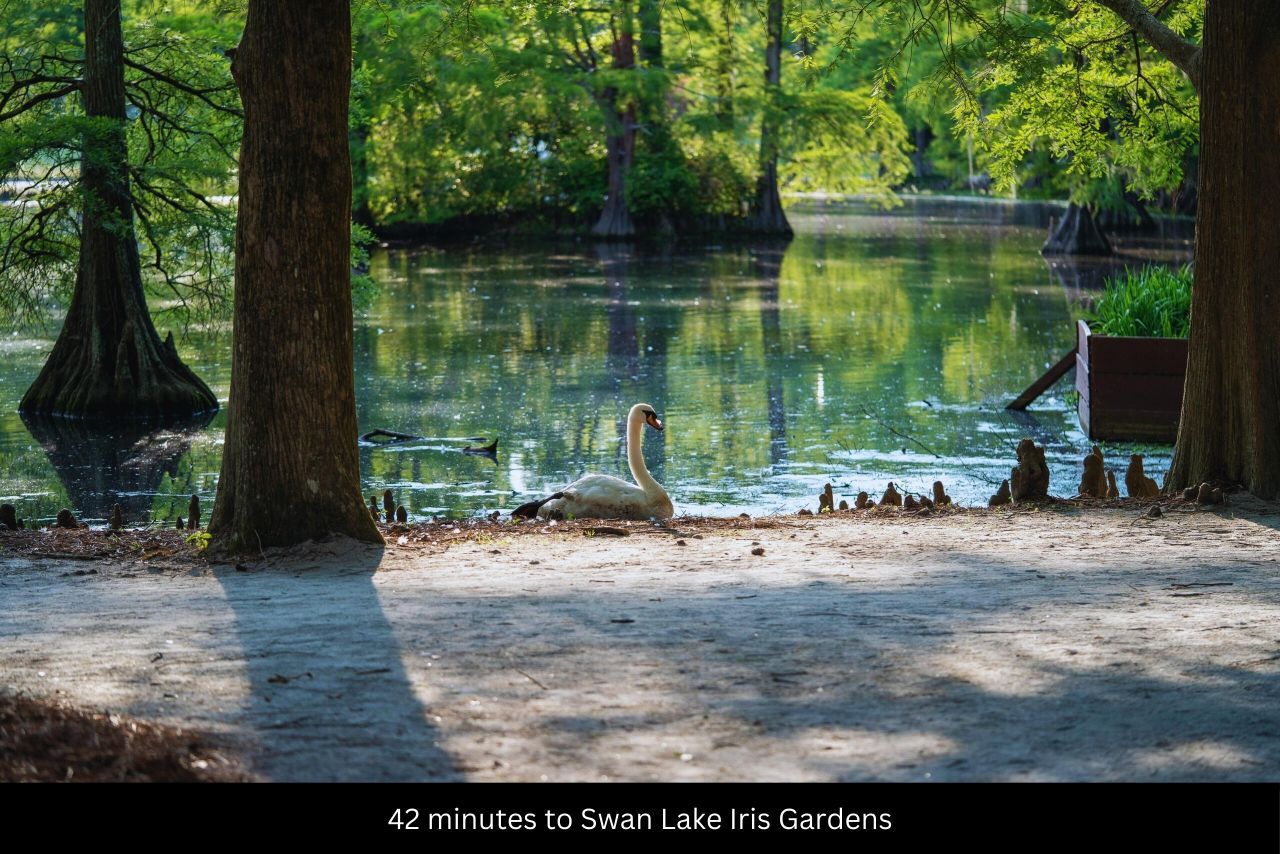 05 Pompey Road Photo 29