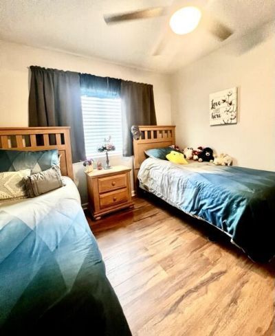 264 Alexandra Drive Photo 16