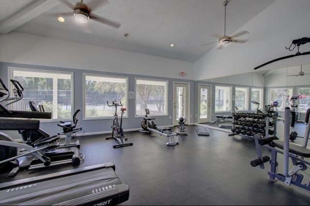 264 Alexandra Drive Photo 25