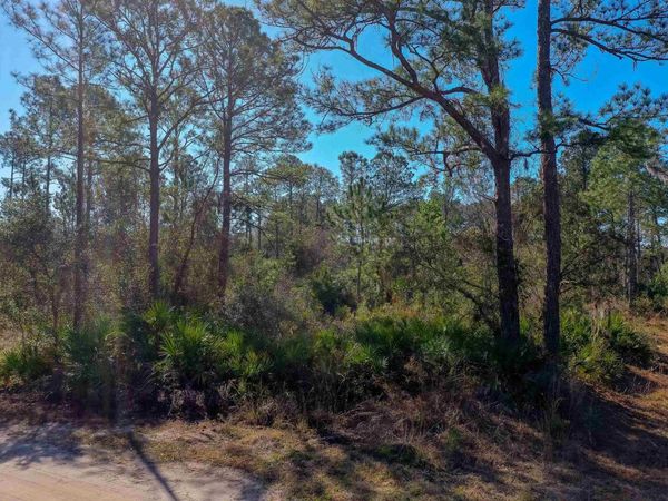 33150 Forest Ridge Rd, Deland, FL 32720