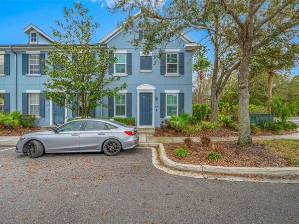 11560 FOUNTAINHEAD DRIVE , TAMPA, FL 33626