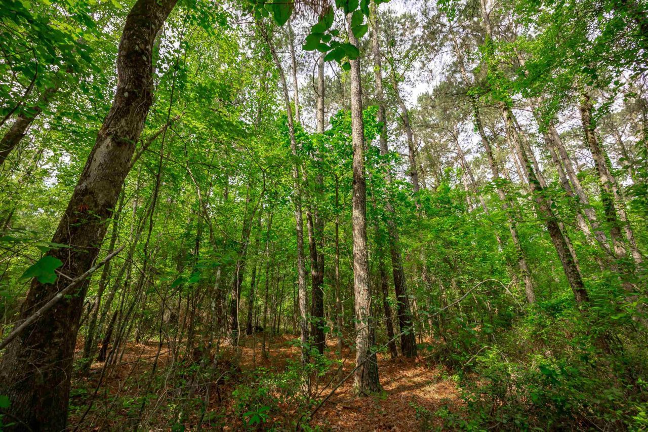 0 Sand Plant Rd.  Photo 15