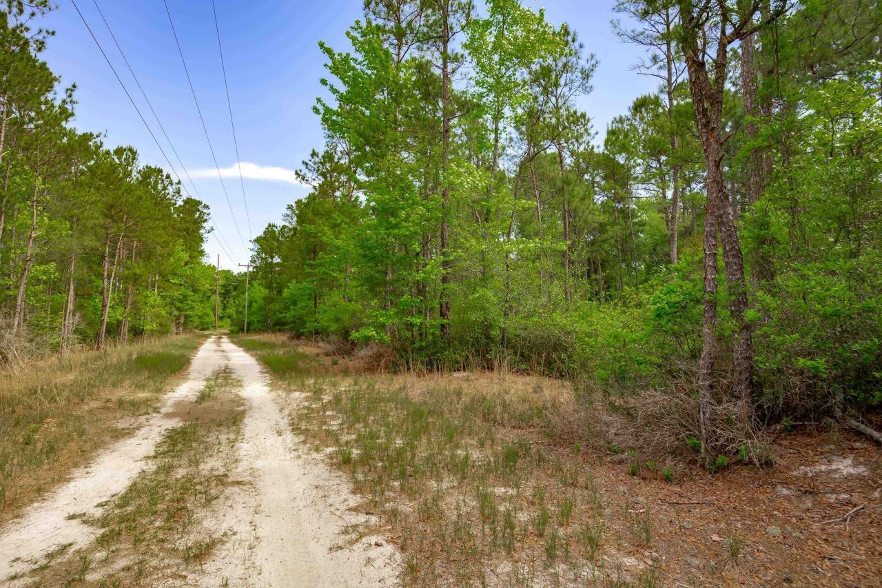 0 Sand Plant Rd.  Photo 16