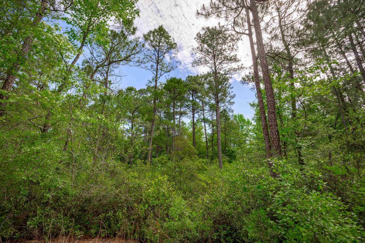 0 Sand Plant Rd.  Photo 17