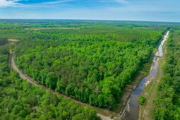 0 Sand Plant Rd.  photo 4