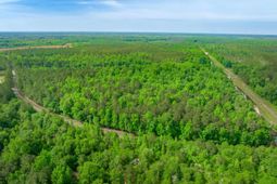 0 Sand Plant Rd.  photo 4