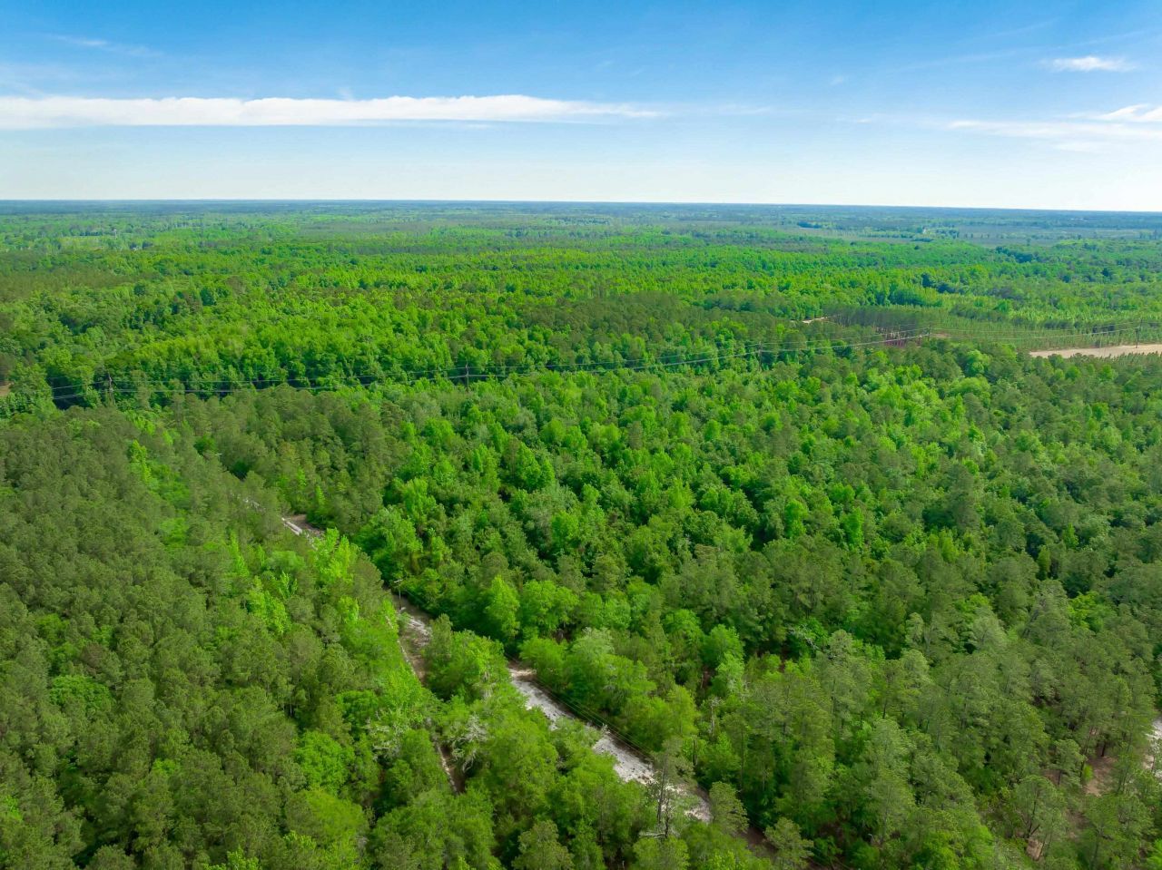 0 Sand Plant Rd.  Photo 7