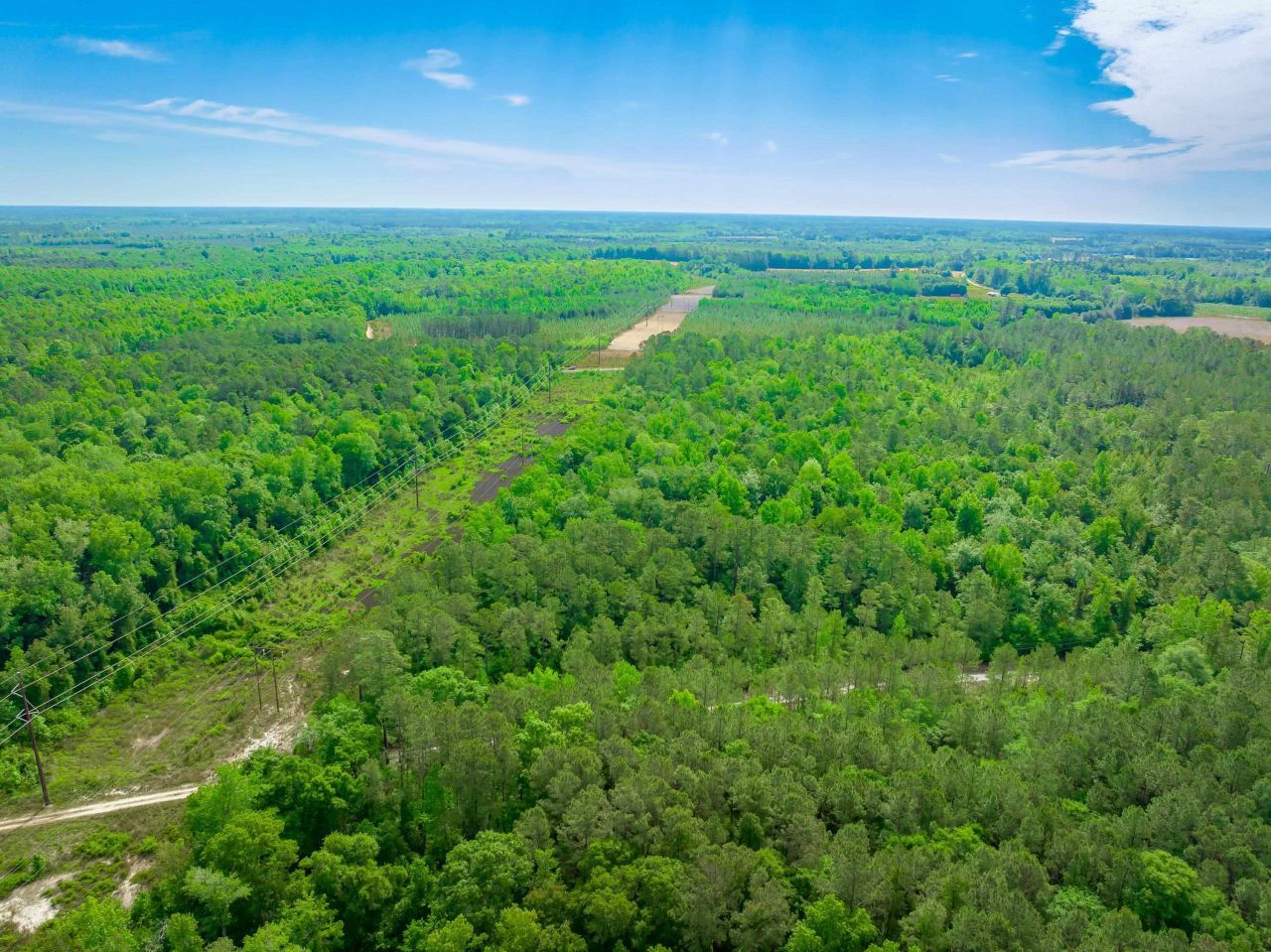 0 Sand Plant Rd.  Photo 9