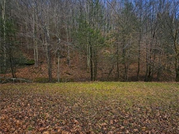 709 Cicerone Road, Gandeeville, WV 25243