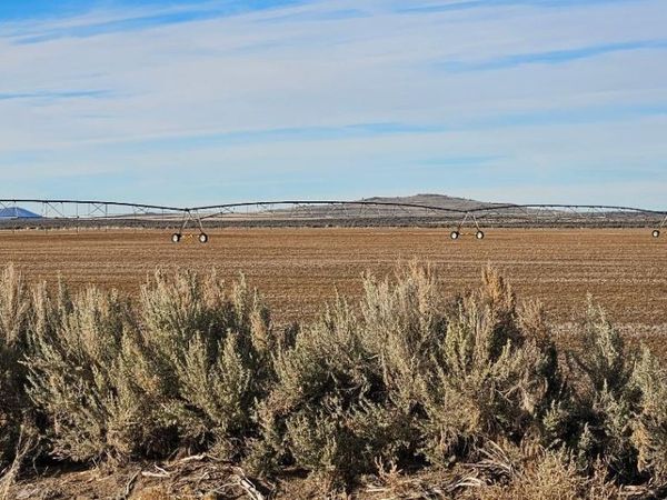 Off Fossil Lake Road, Unit TL 1200, Christmas Valley, OR 97641